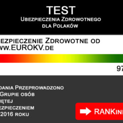 Polska firma w Niemczech